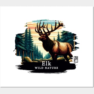 Elk - WILD NATURE - ELK -8 Posters and Art